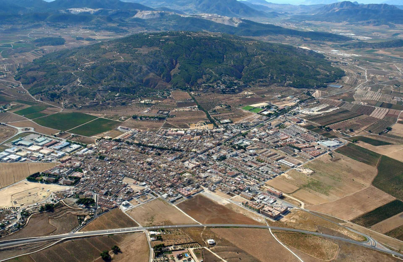 Nieuwbouw Woningen - Villa - Pinoso - Pinoso - El Pinós