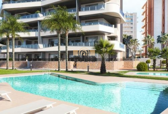 Apartment - Neue Gebäude - Guardamar del Segura - NBR-87654