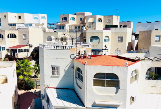 Apartment - Revente - San Miguel de Salinas - San Miguel de Salinas