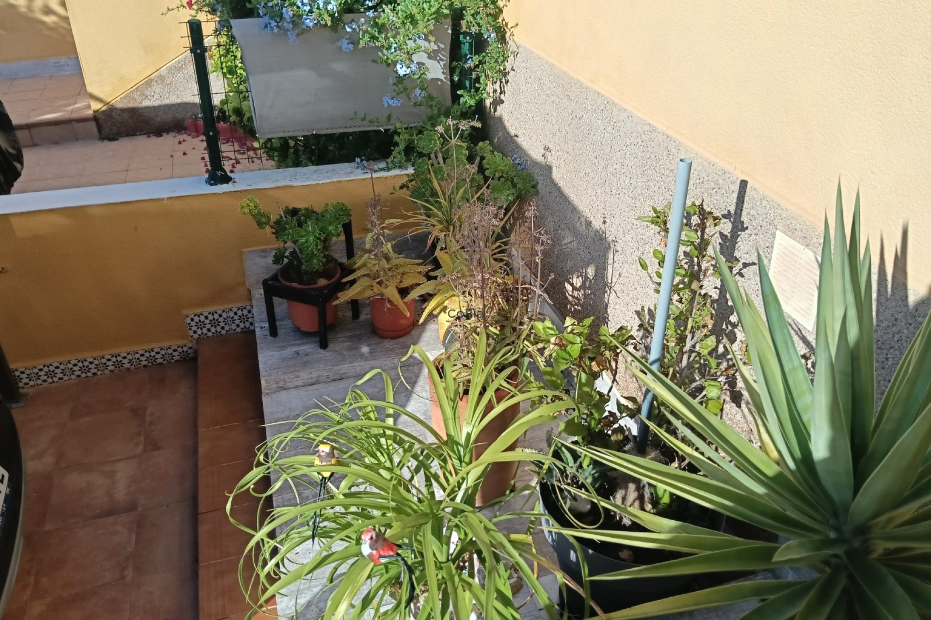 Herverkoop - Appartement - Los Montesinos - La Herrada