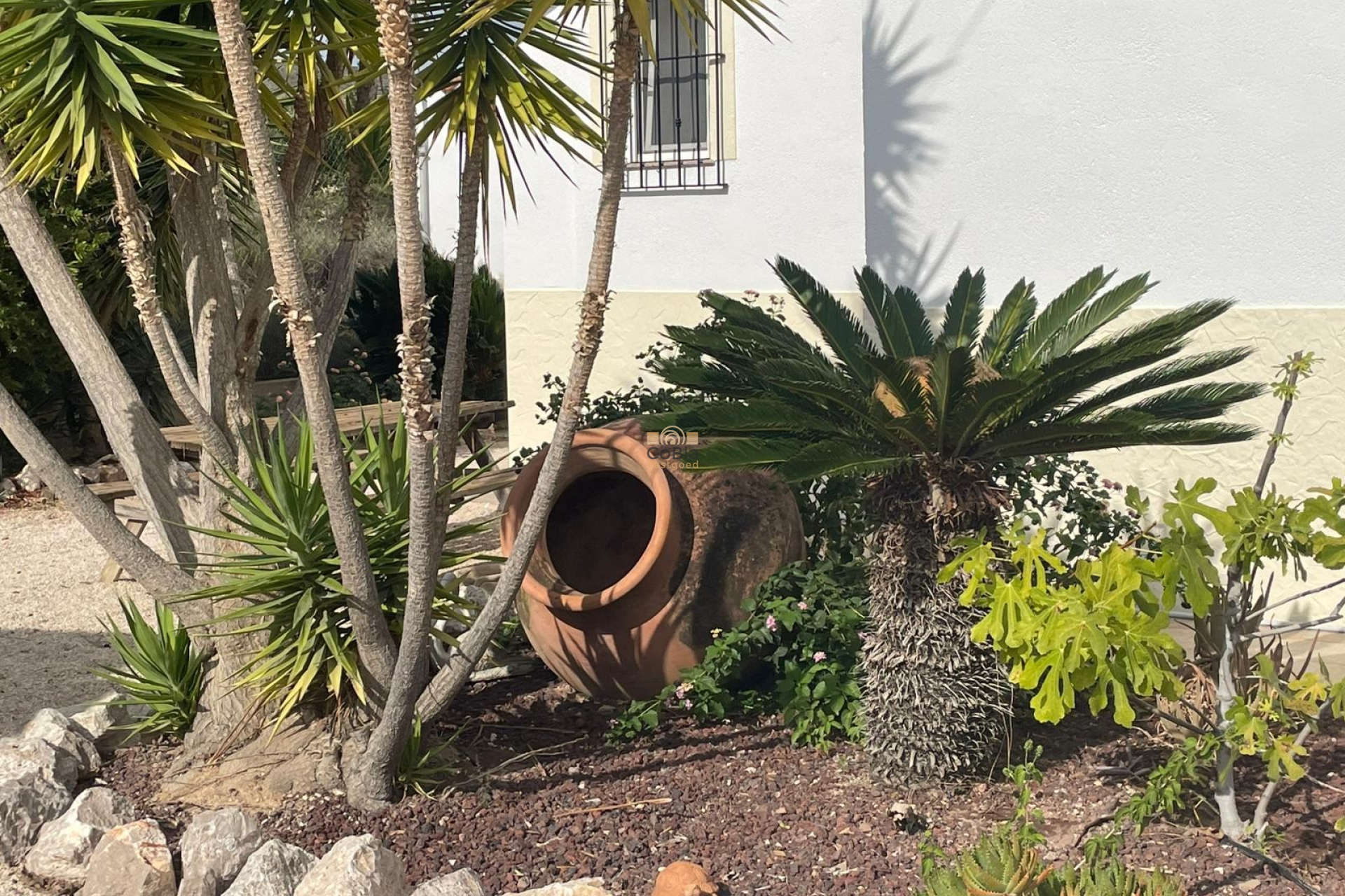 Herverkoop - Finca / Country Property - Abanilla