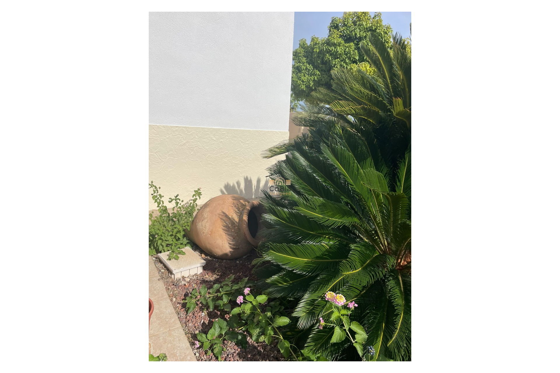 Herverkoop - Finca / Country Property - Abanilla