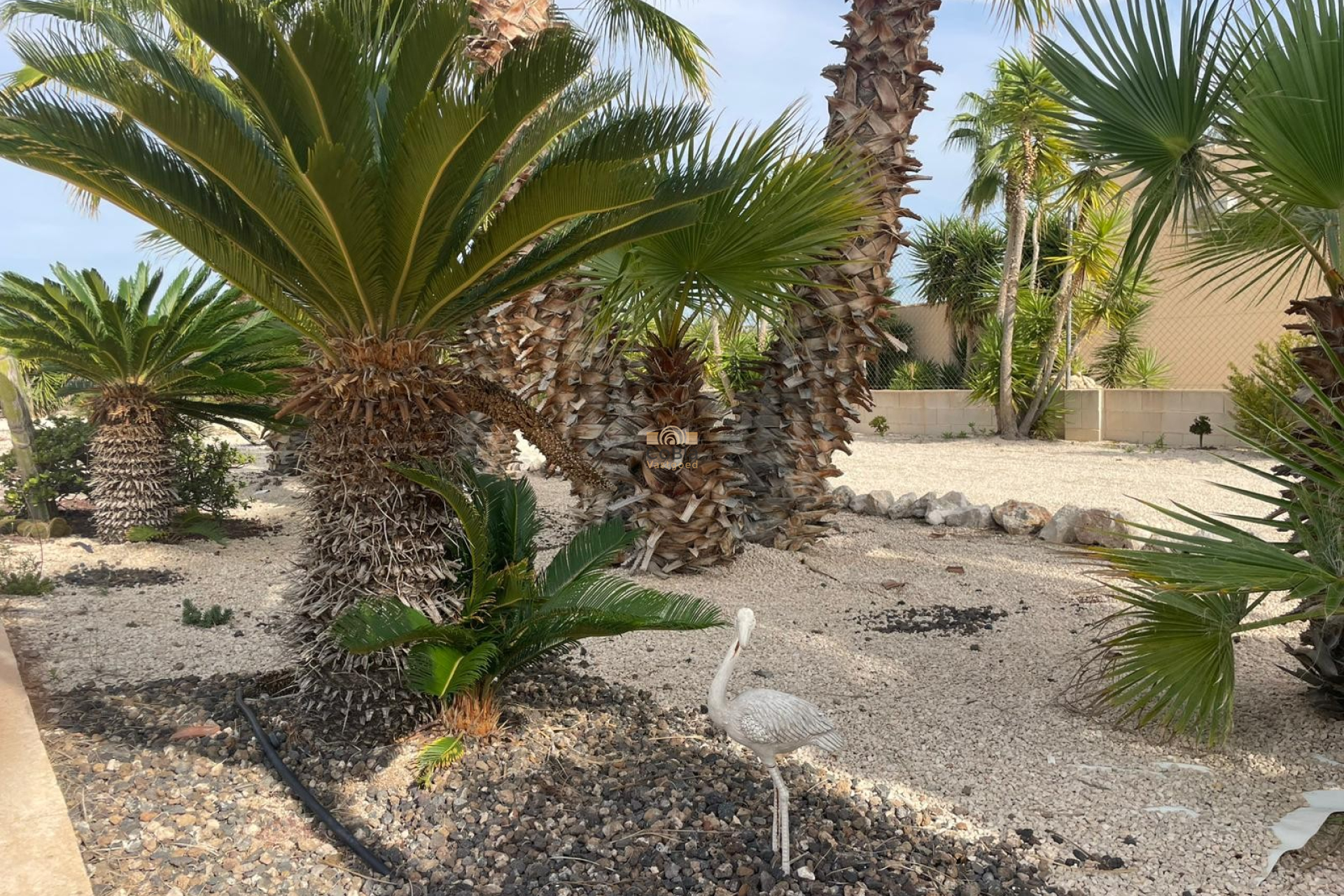 Herverkoop - Finca / Country Property - Abanilla