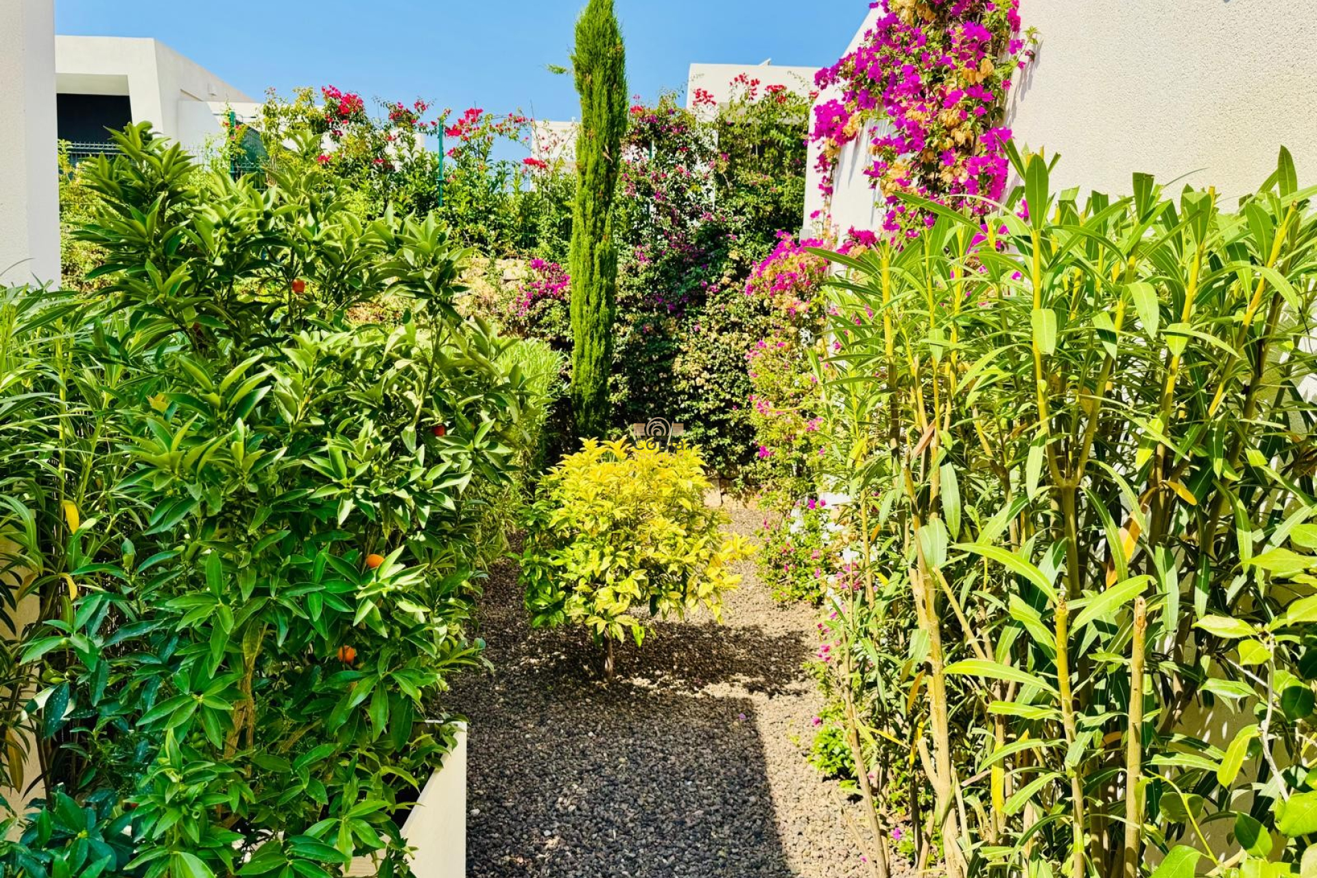 Herverkoop - Villa - Algorfa - La finca Golf