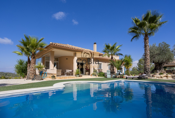 Independent villa - Resale - La Zarza - La Zarza Murcia