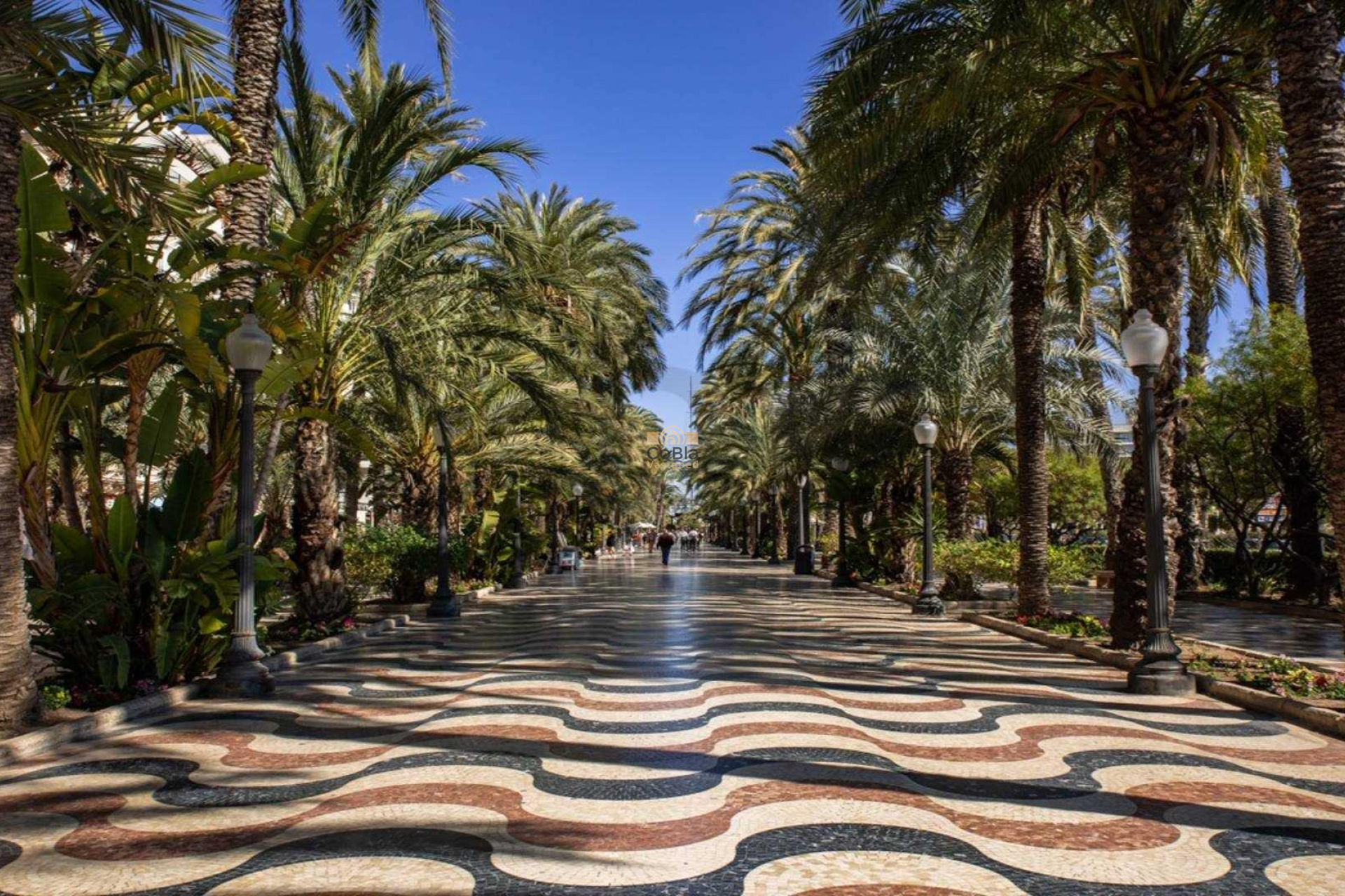 Neue Gebäude - Apartment - Alicante - Center