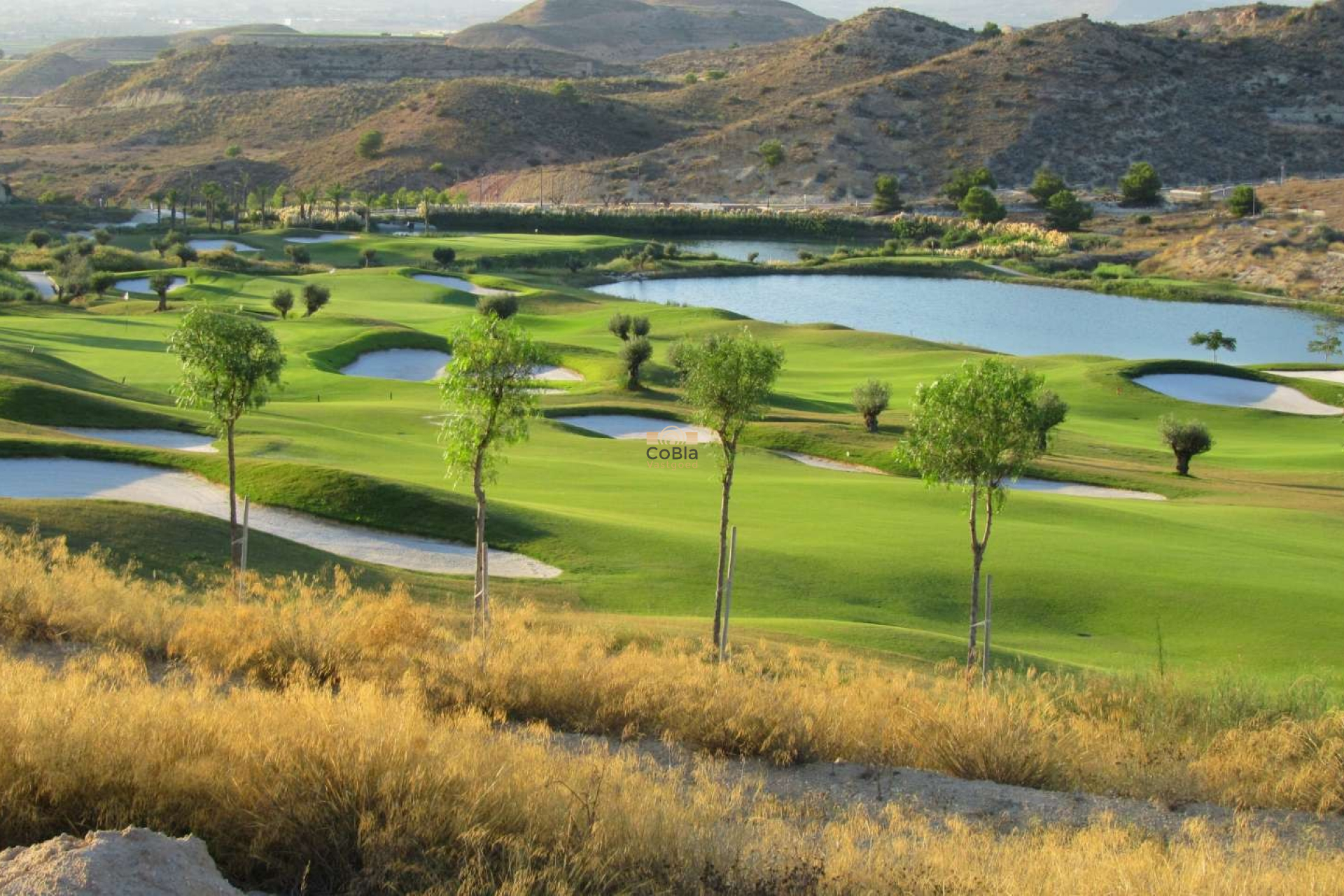 Neue Gebäude - Apartment - Monforte del Cid - Font del Llop