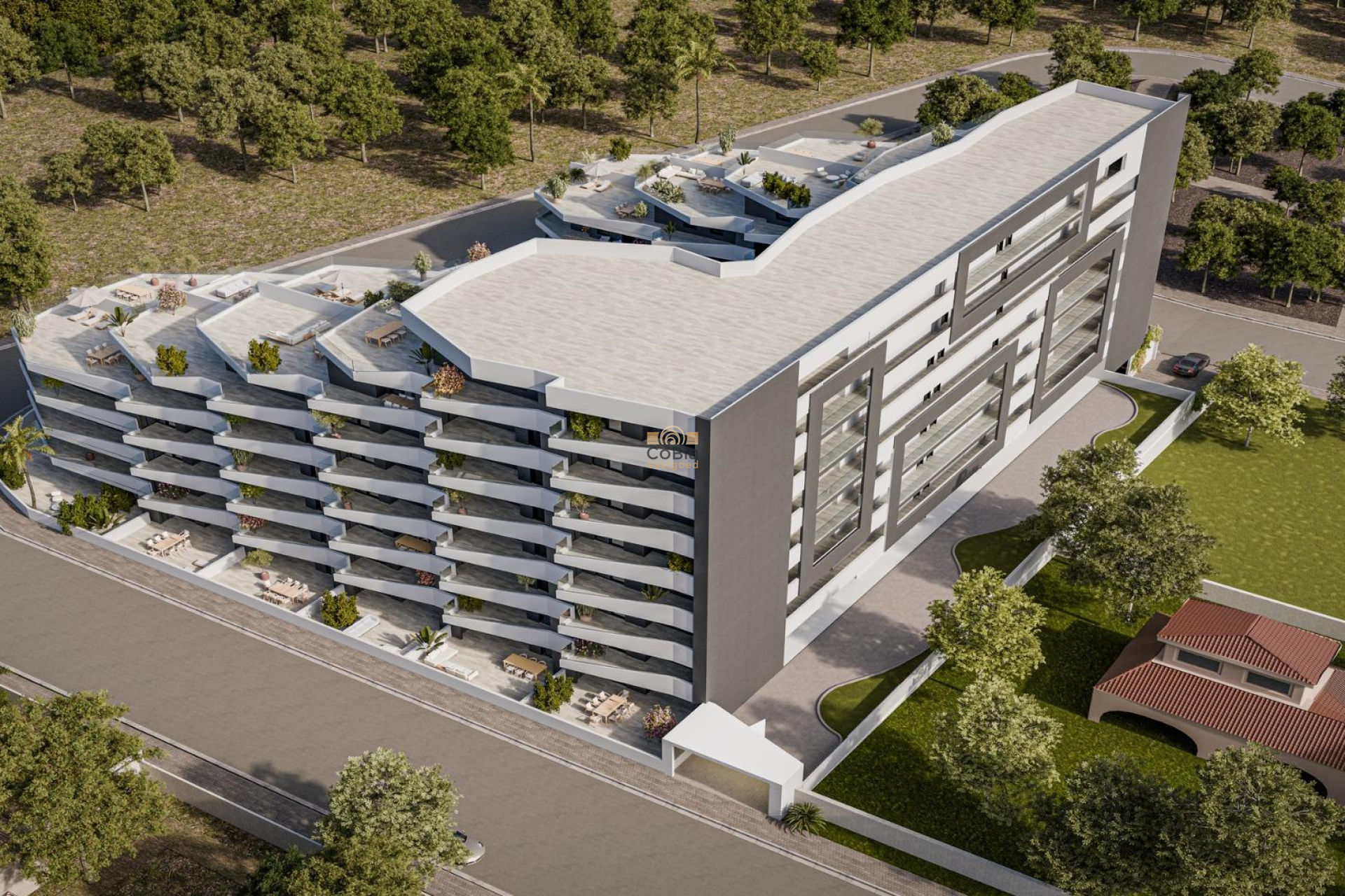 Neue Gebäude - Apartment - San Miguel de Salinas - Pueblo