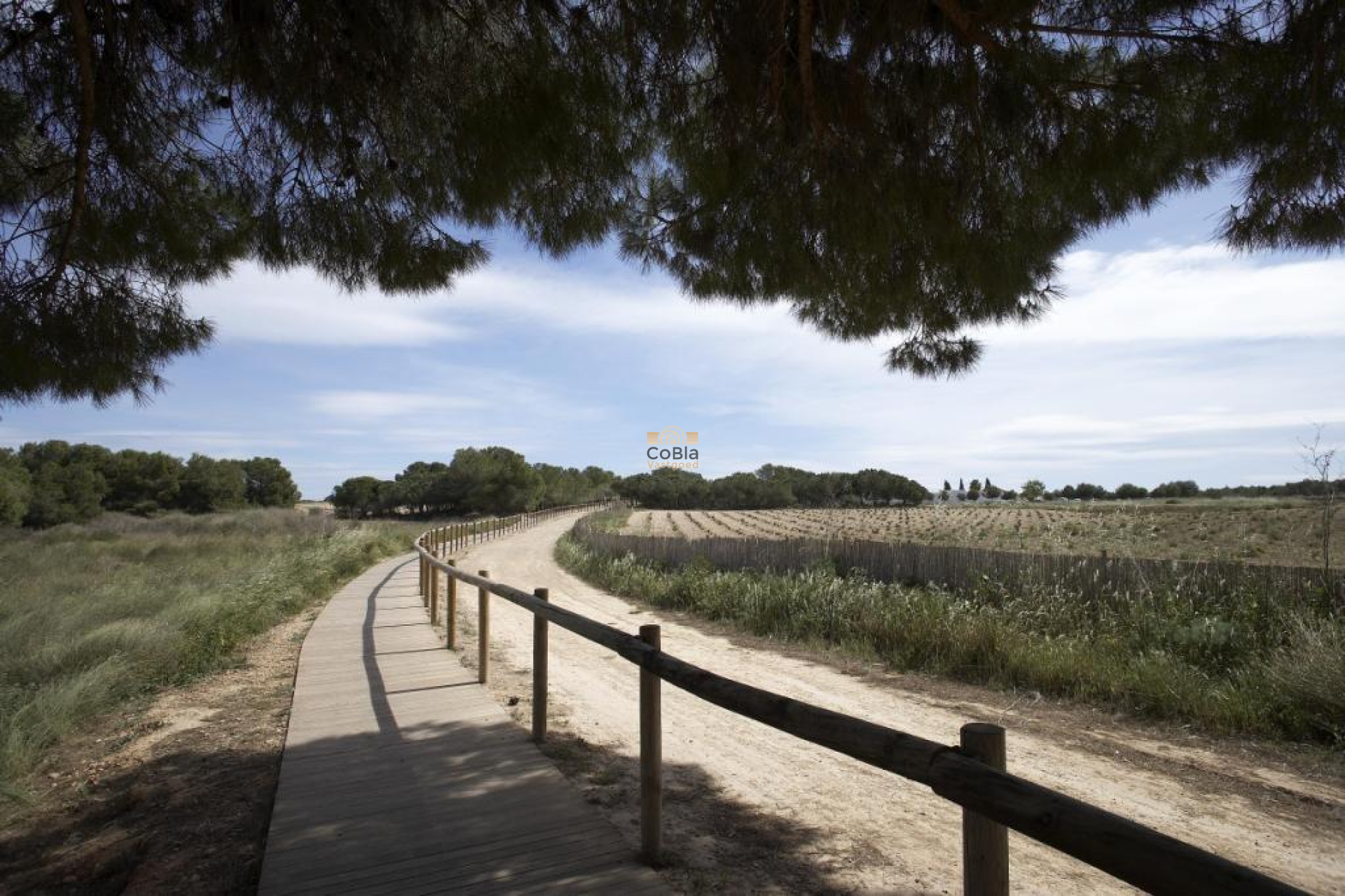 Neue Gebäude - Bungalow - Torrevieja - Los Altos