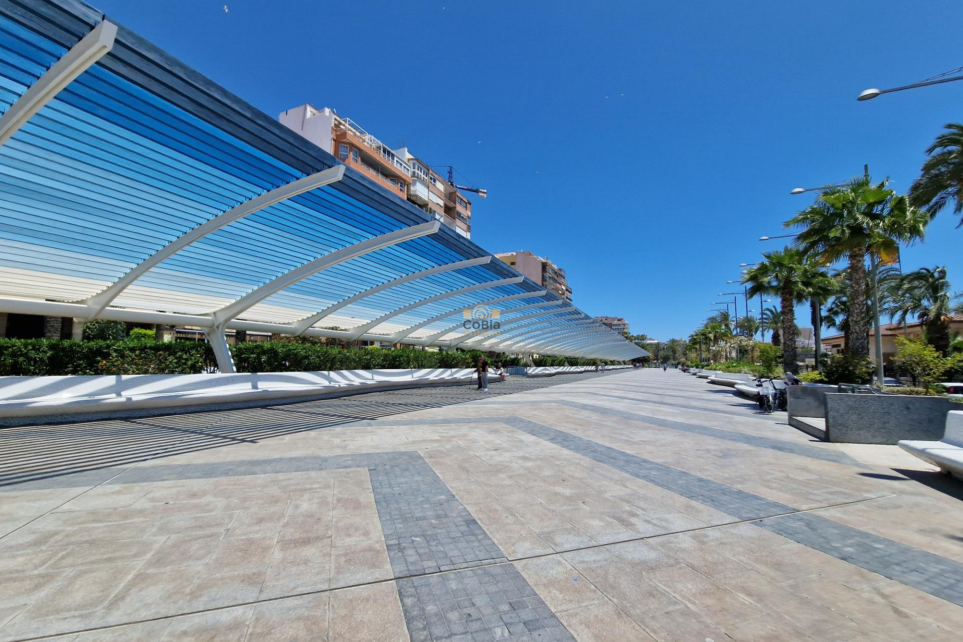 Neue Gebäude - Penthouse - Torrevieja - Playa de los Locos