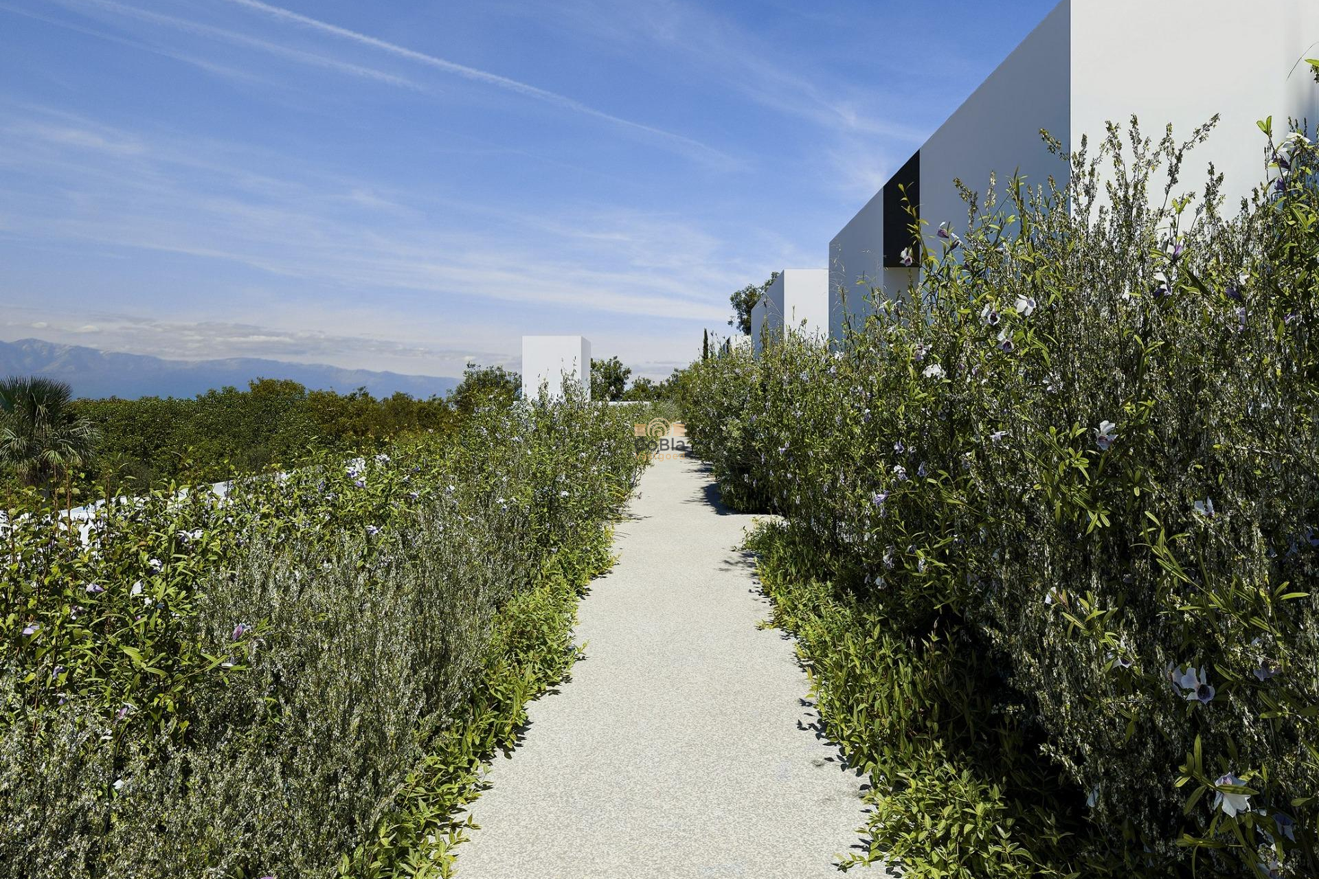 Neue Gebäude - Villa - Alfas del Pí - Barranc Fondo