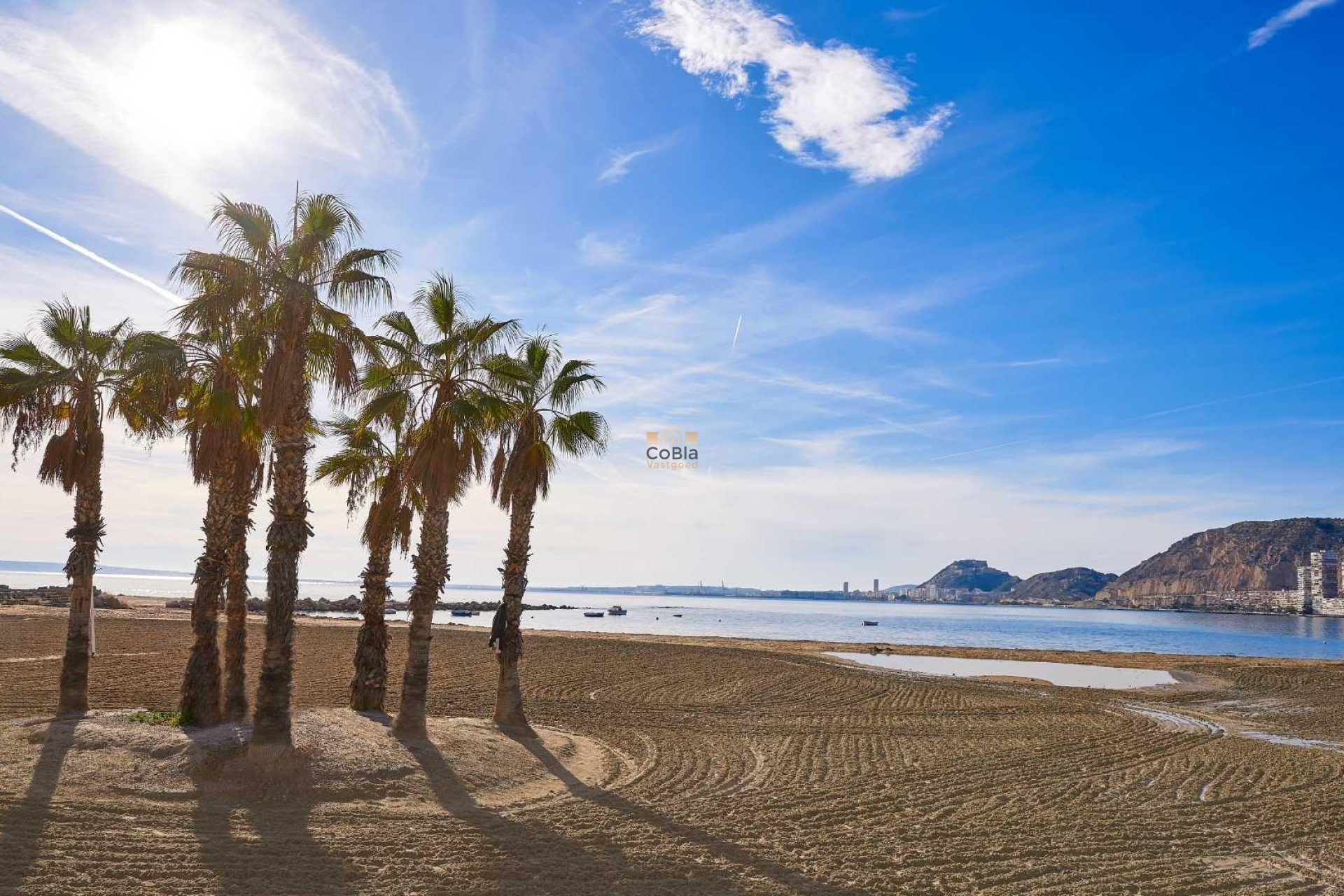 Neue Gebäude - Villa - Els Poblets - Partida Barranquets