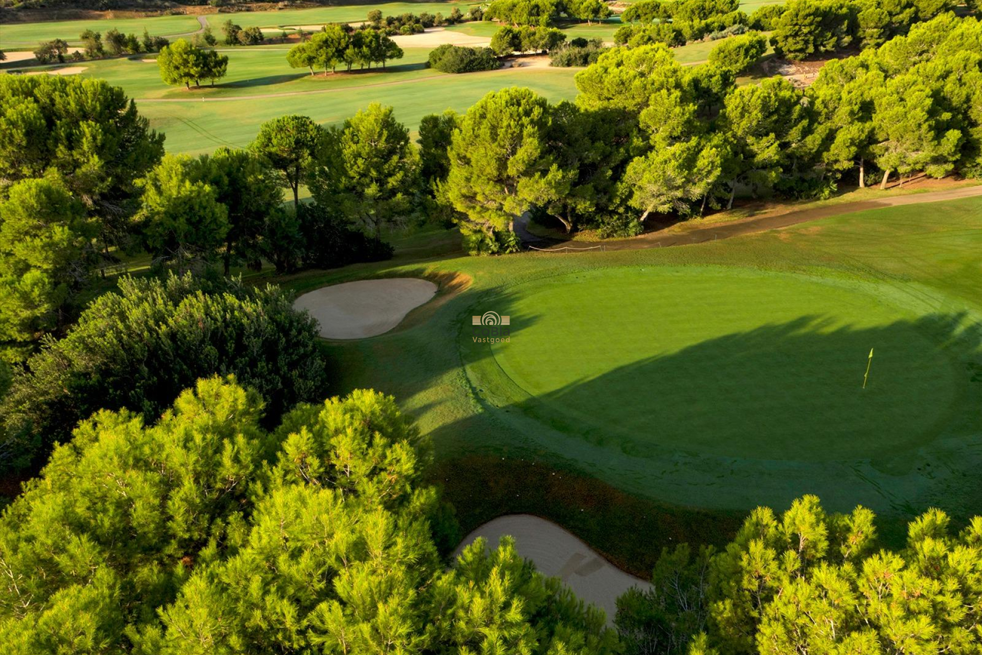 Neue Gebäude - Villa - Pilar de la Horadada - Lo Romero Golf