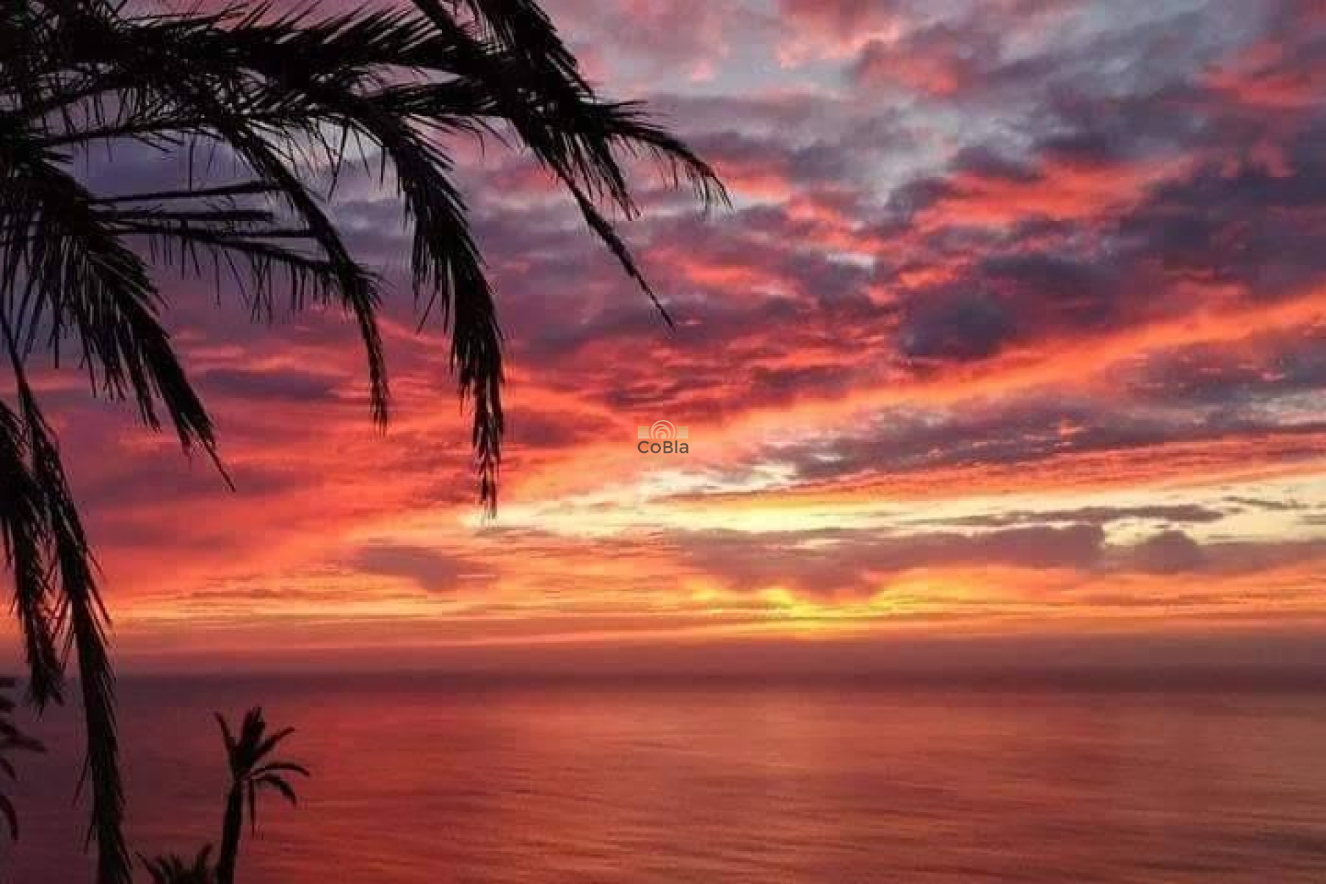 New Build - Bungalow - Torrevieja - Altos del Sol