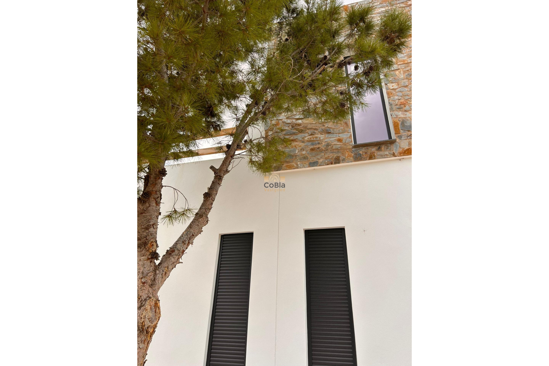 New Build - Villa - Pinoso - Casas Pastor