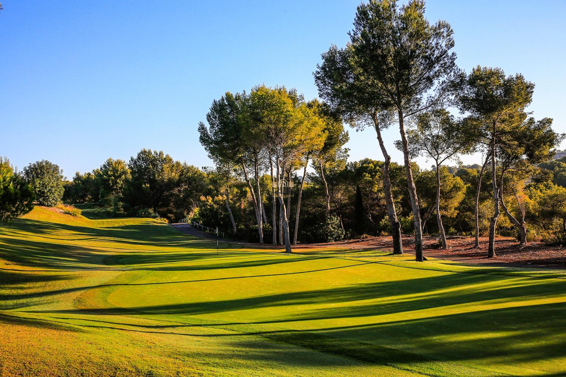 Nieuwbouw Woningen - Villa - Orihuela - Las Colinas Golf