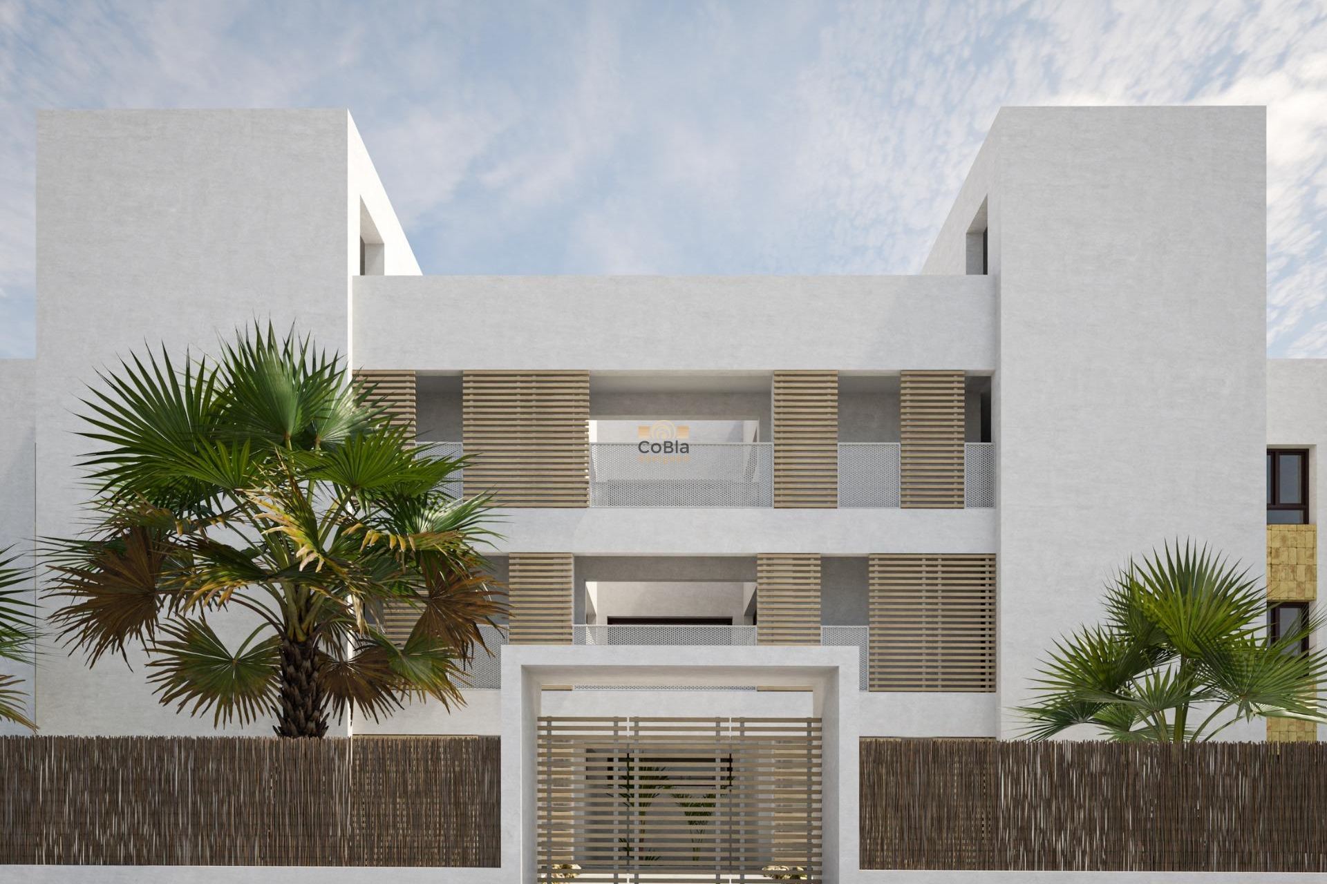 Nouvelle construction - Apartment - Orihuela Costa - Pau 8