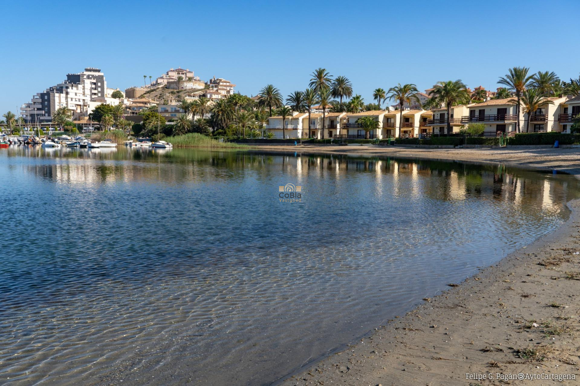 Nouvelle construction - Bungalow - La Manga Club