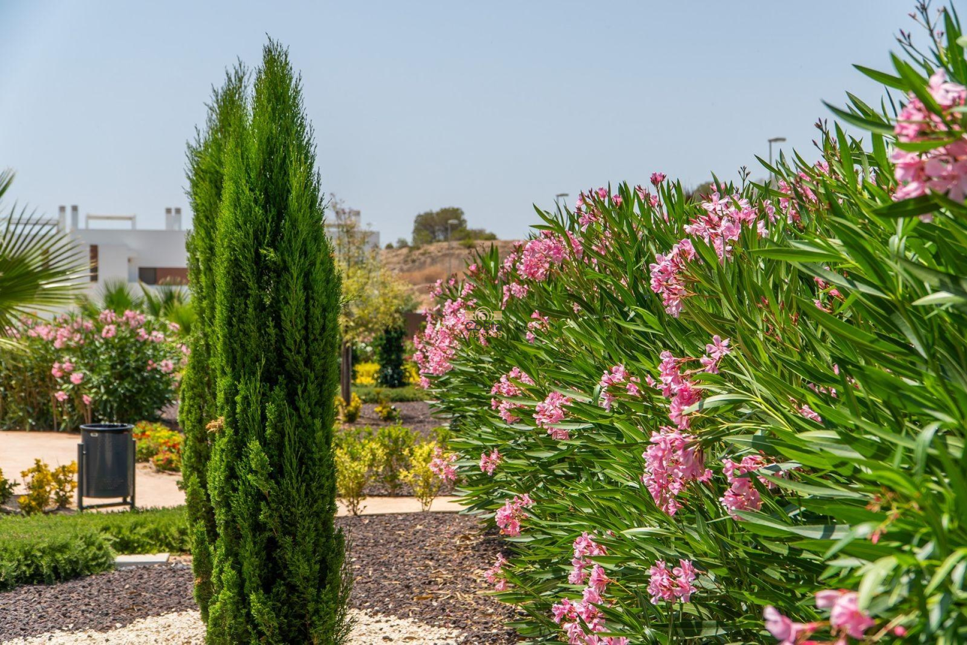 Nouvelle construction - Maison de ville - Orihuela - Vistabella Golf