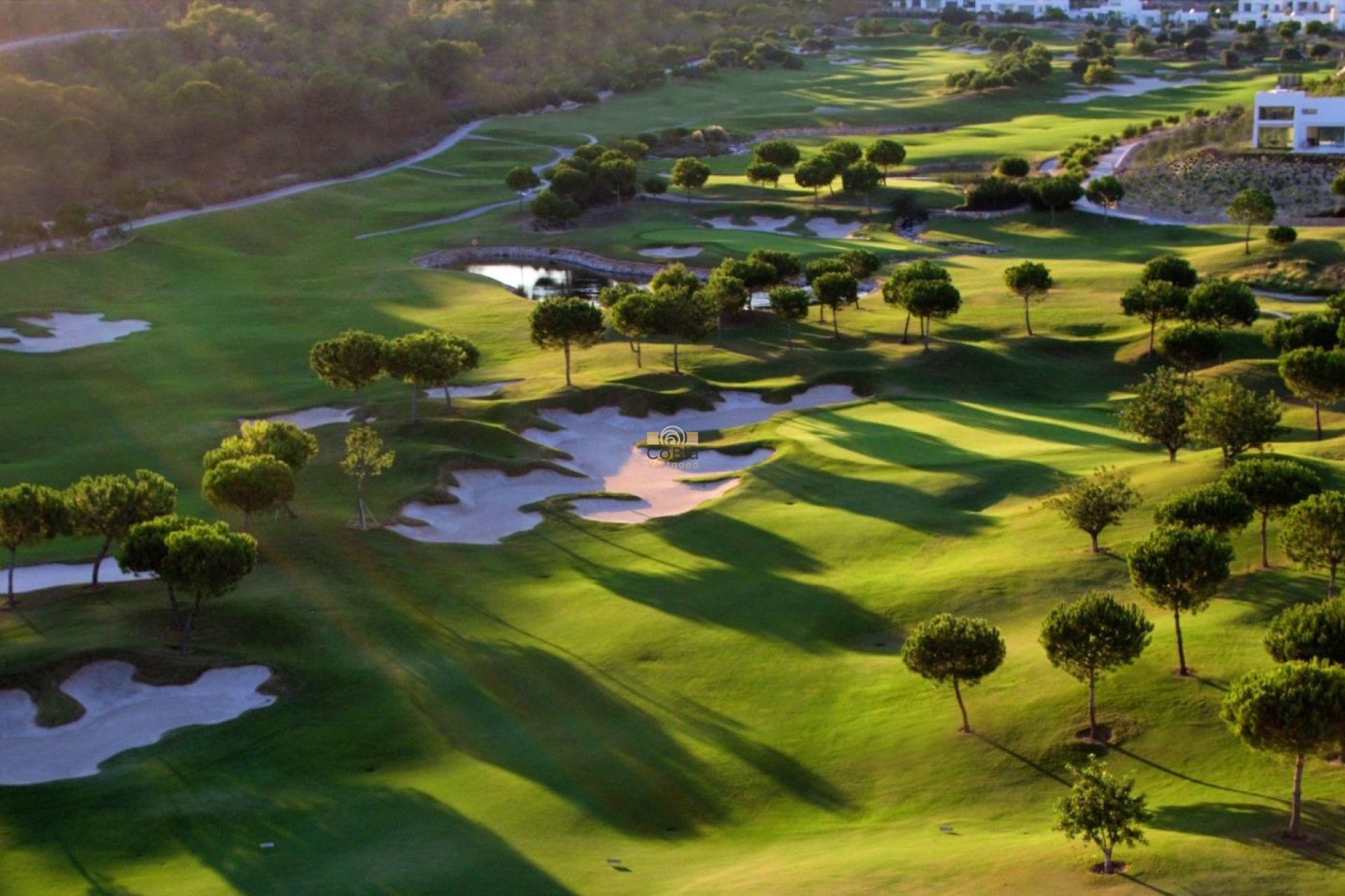 Nouvelle construction - Villa - Orihuela - Las Colinas Golf