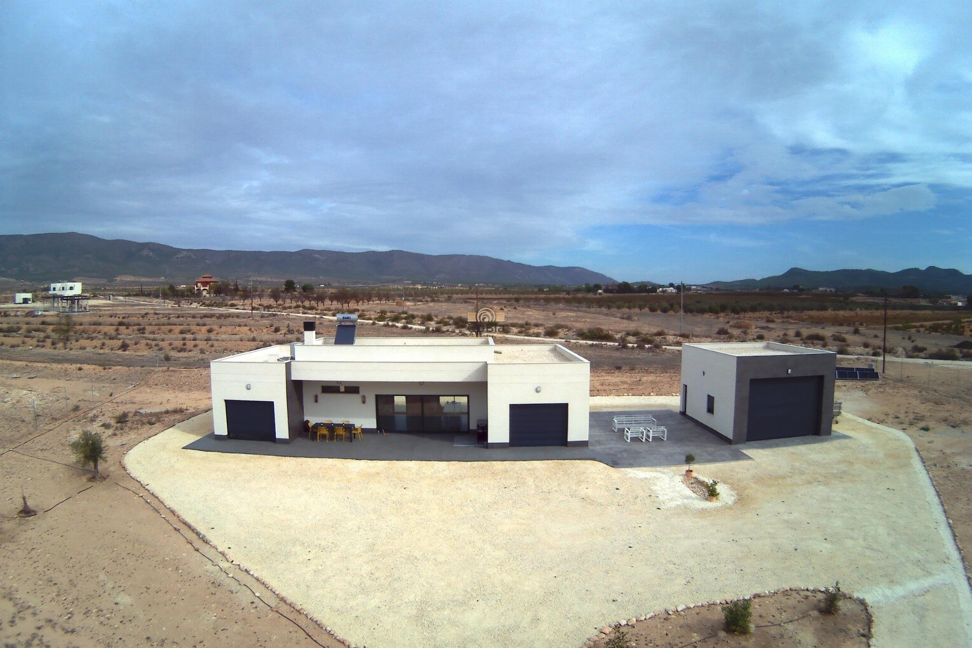 Nouvelle construction - Villa - Pinoso - Camino Del Prado