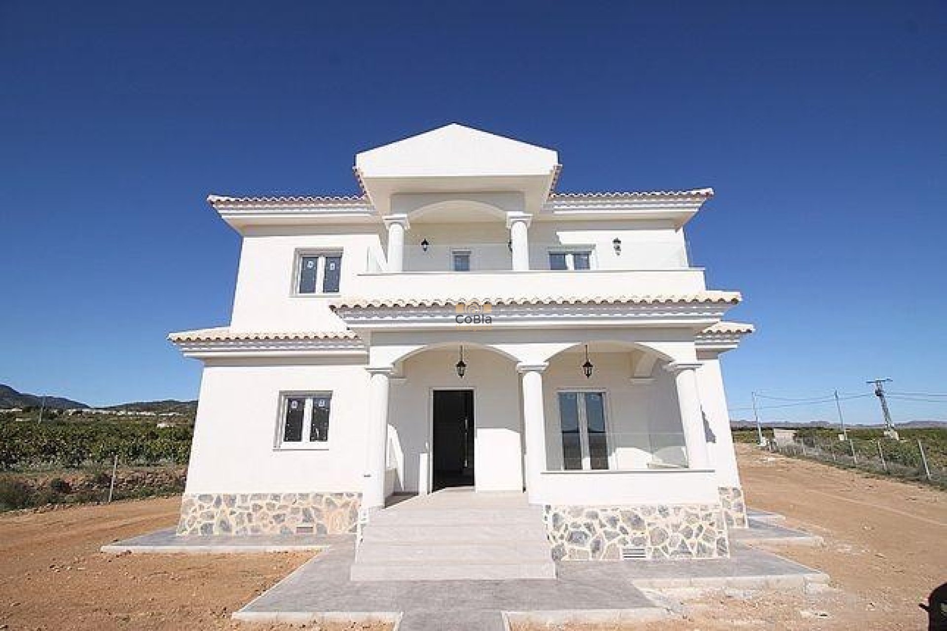 Nouvelle construction - Villa - Pinoso - Camino Del Prado