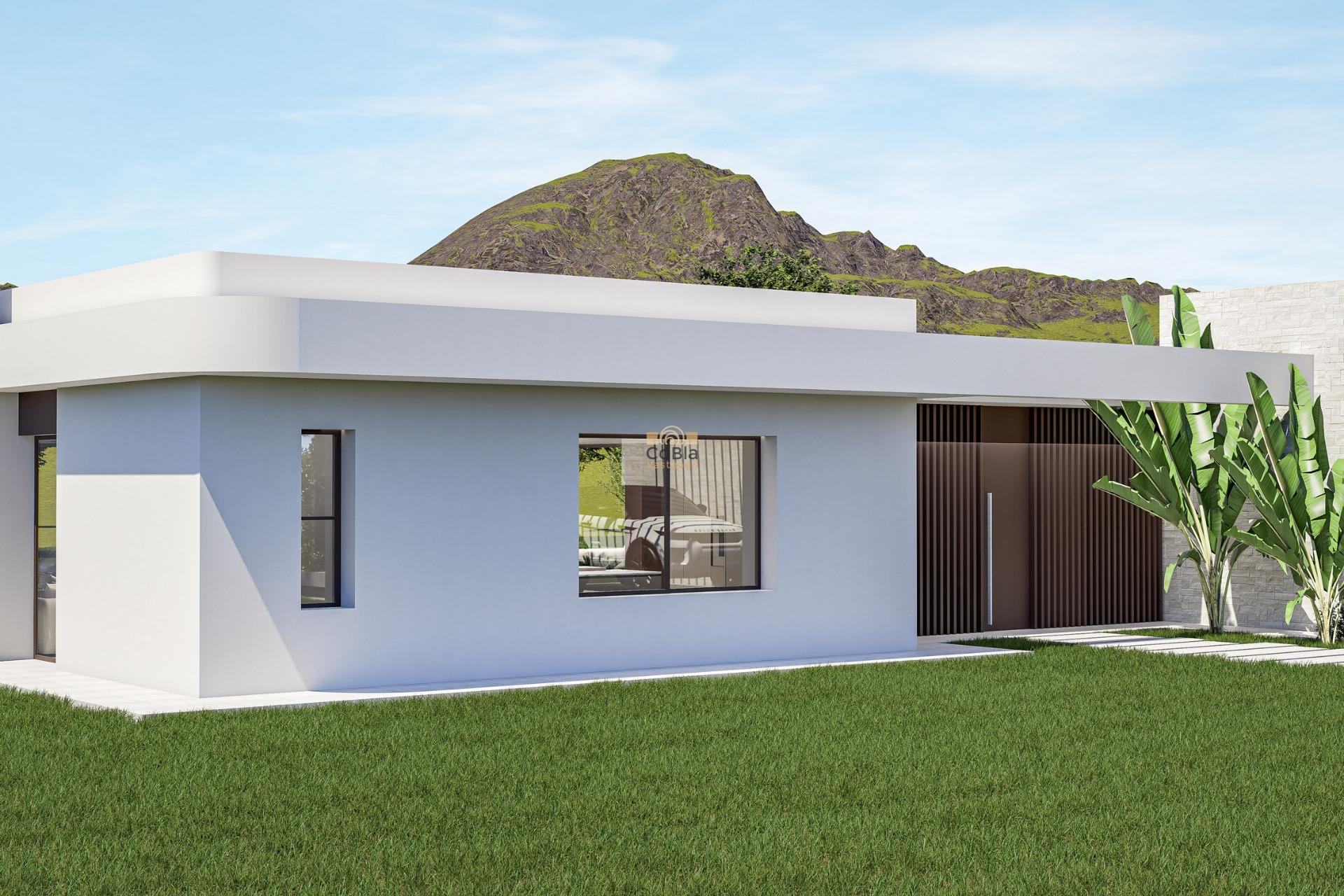 Nouvelle construction - Villa - Pinoso - Lel