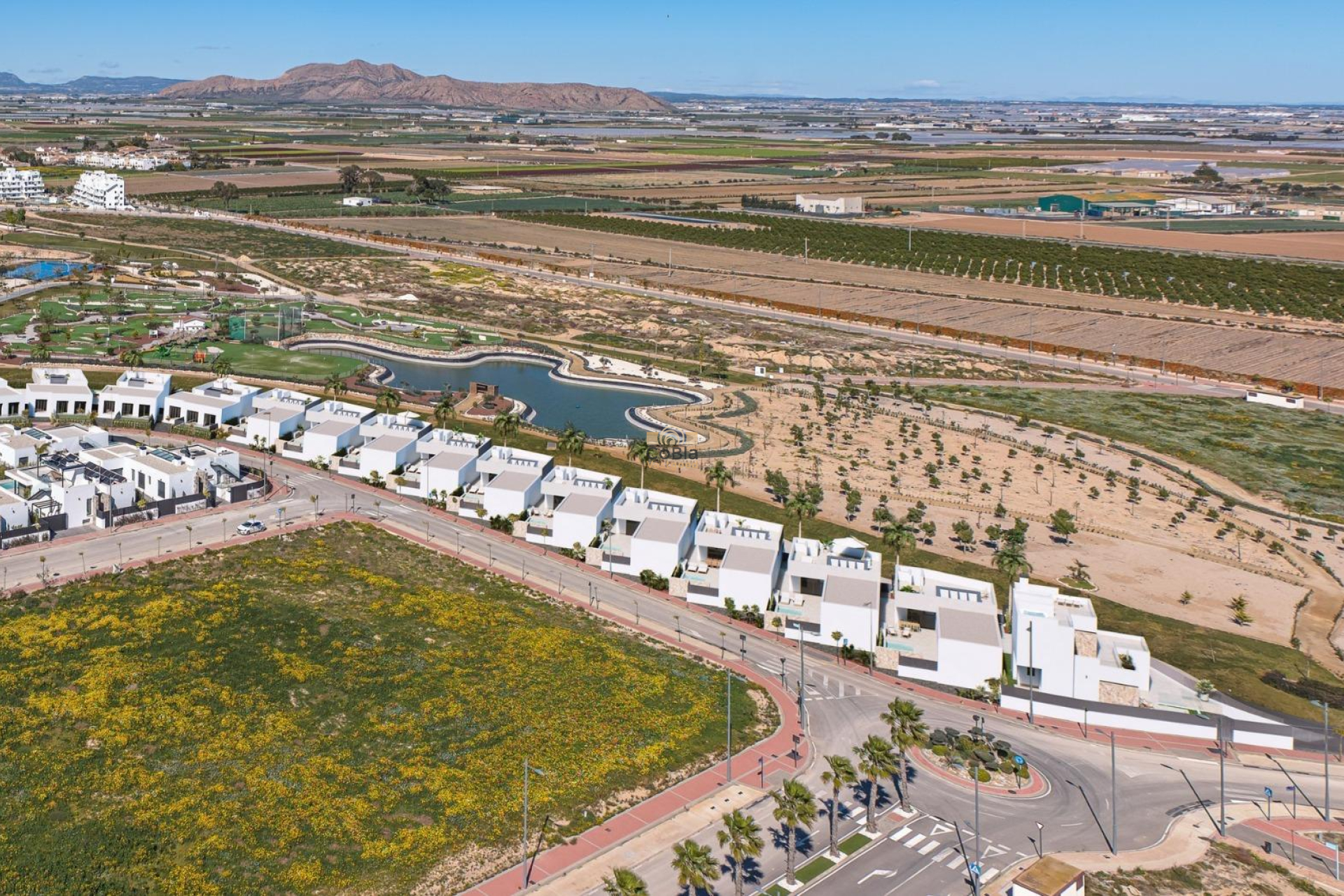 Nouvelle construction - Villa - Torre Pacheco - Santa Rosalía