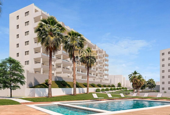 Penthouse - New Build - San Miguel de Salinas - NBR-52467
