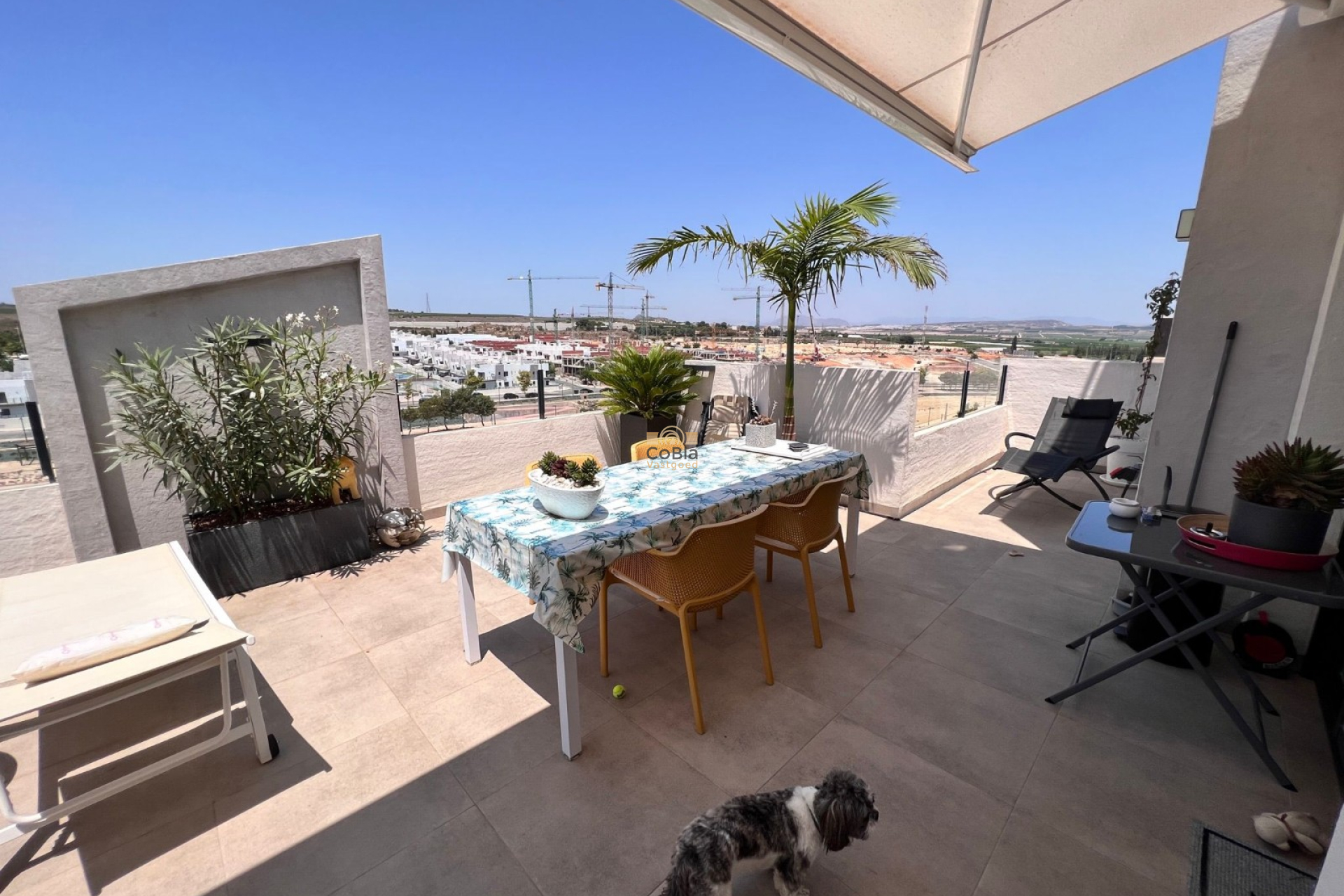 Resale - Apartment flat - San Miguel de Salinas - San Miguel Salinas