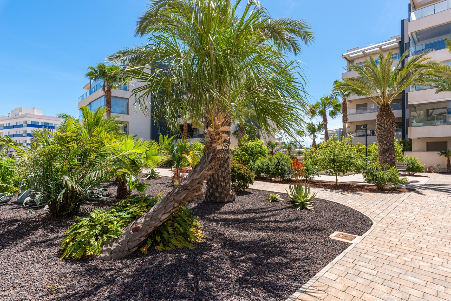 Resale - Apartments - Orihuela Costa - Los Dolses