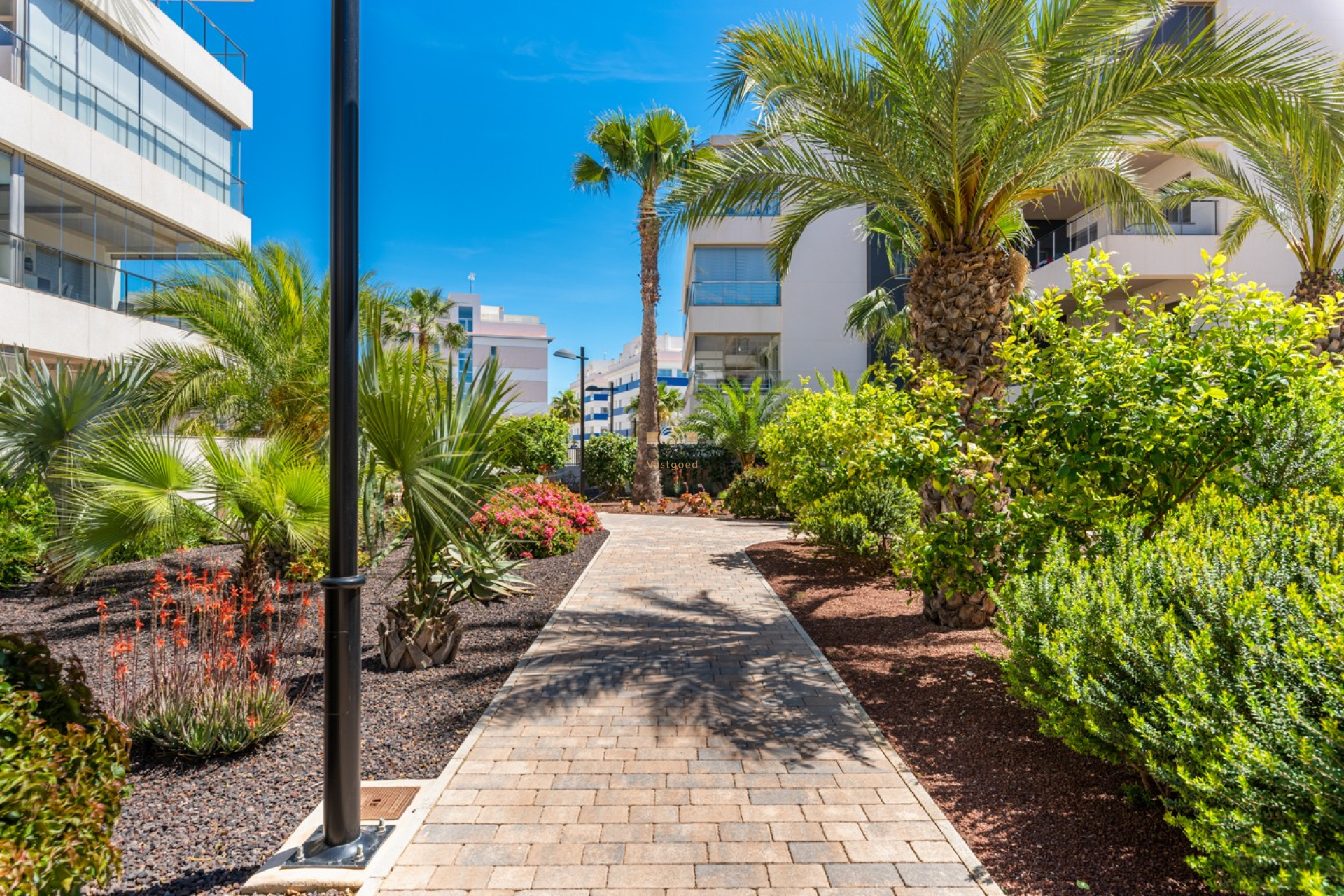 Resale - Apartments - Orihuela Costa - Los Dolses