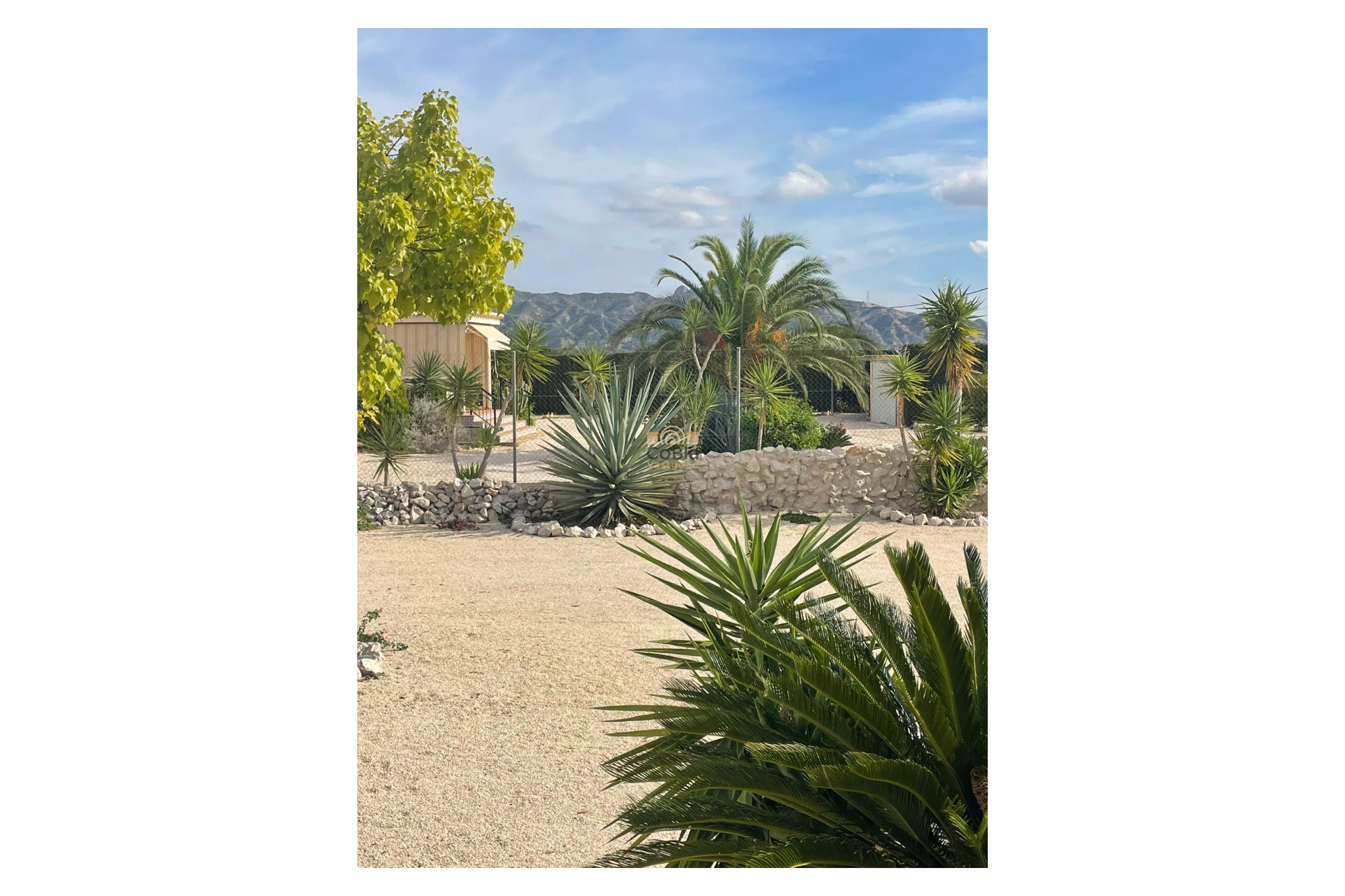 Resale - Finca / Country Property - Abanilla