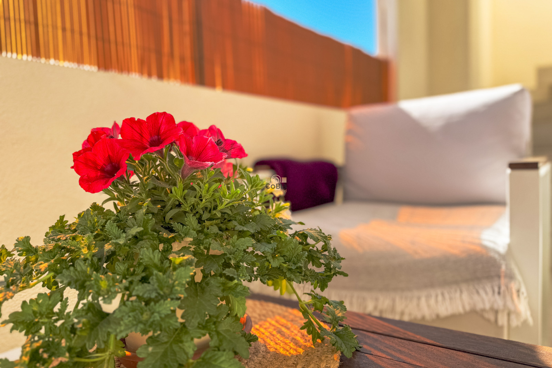 Revente - Bungalow - Los Altos