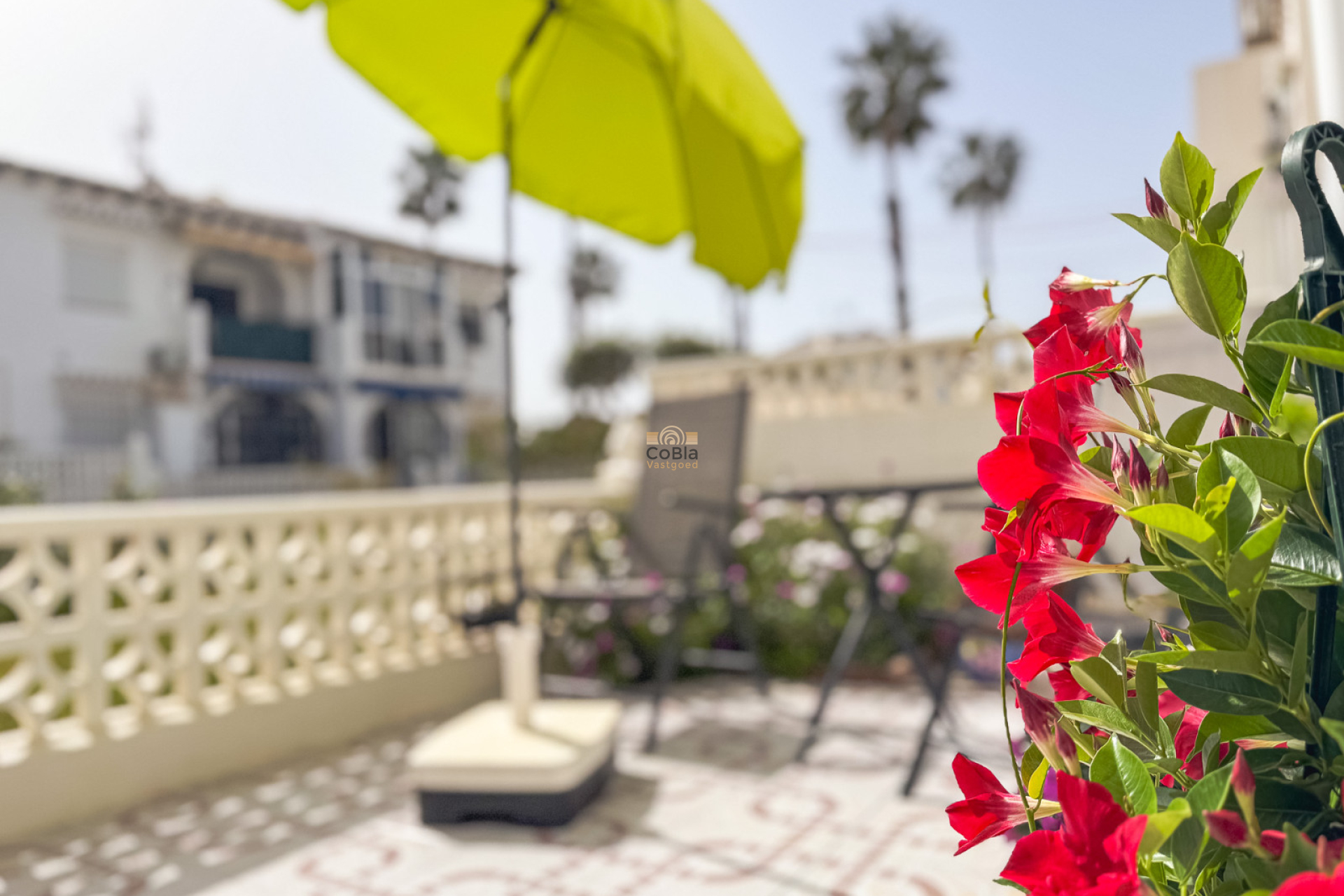 Revente - Bungalow - Torrevieja - Lago Jardin