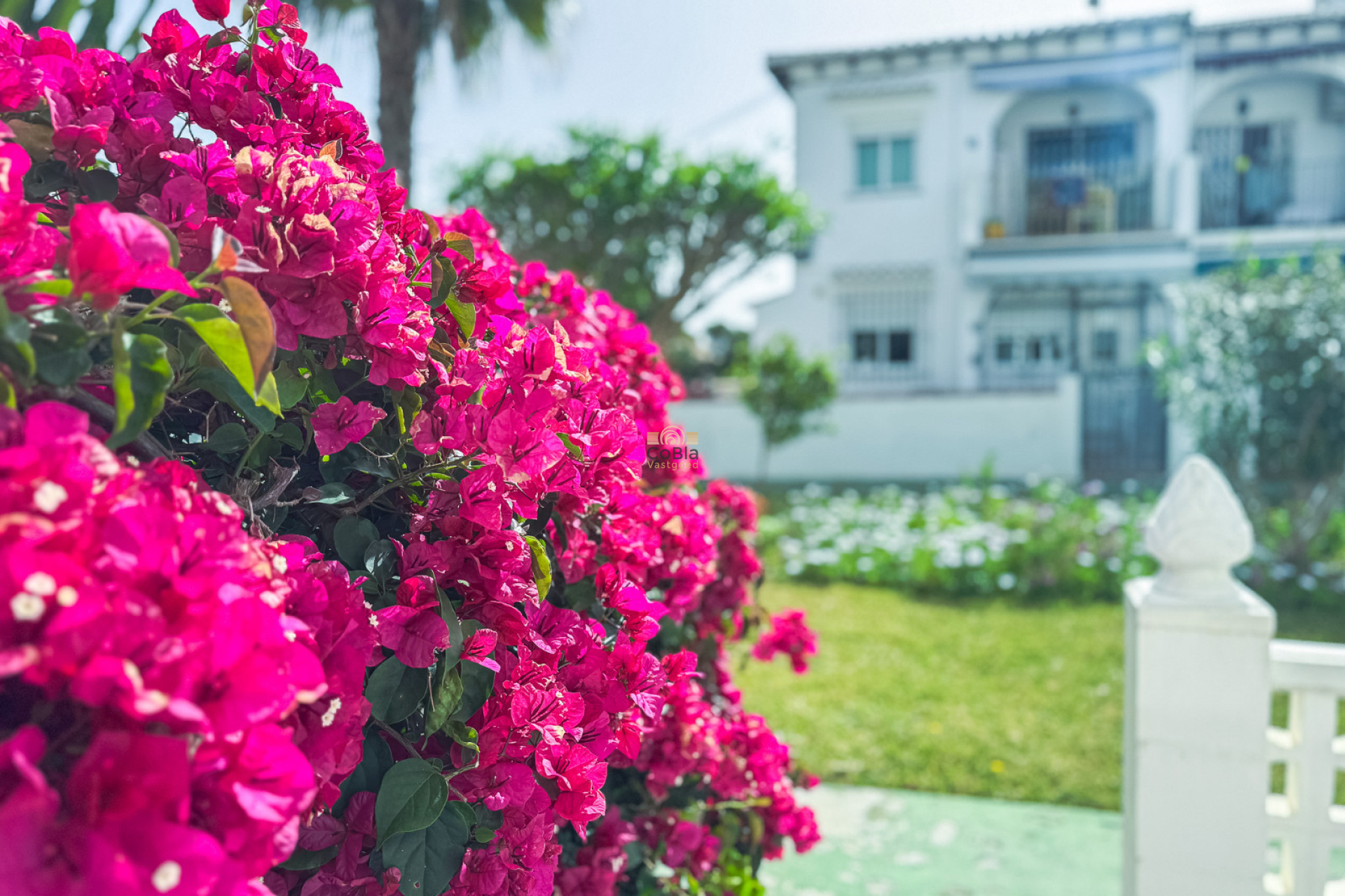 Revente - Bungalow - Torrevieja - Lago Jardin