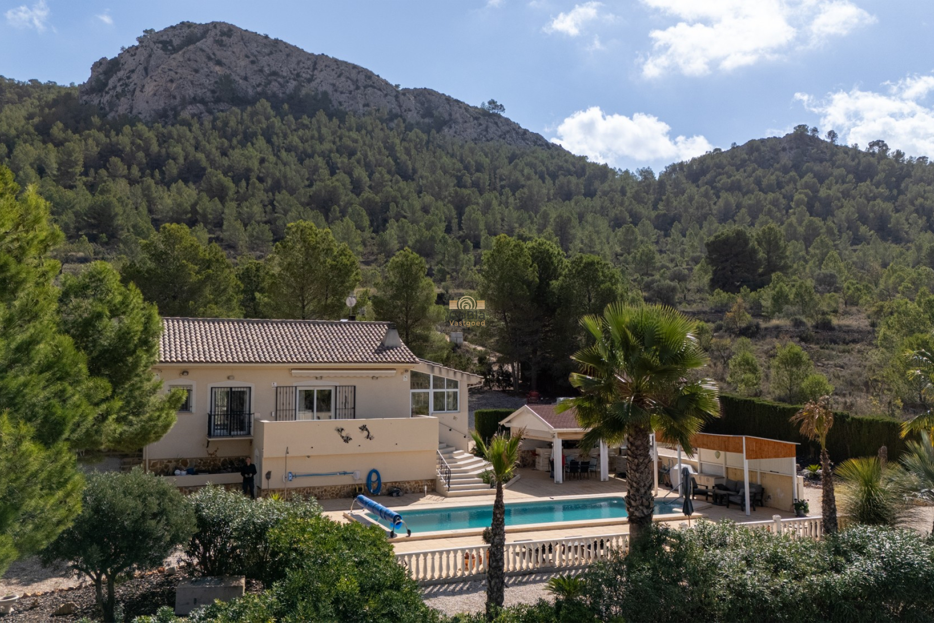 Revente - Detached Villa - La Zarza