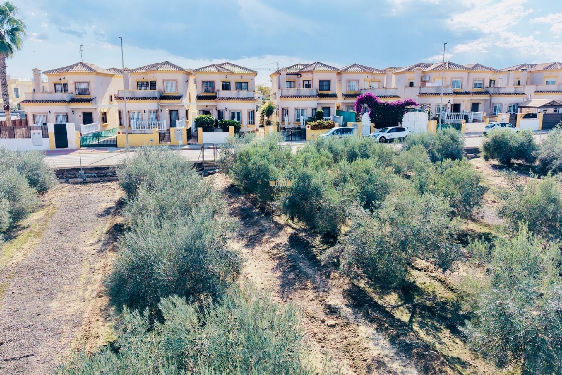 Revente - Detached Villa - Los Montesinos - La Herrada