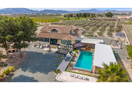 Villa - Herverkoop - Puerto Lumbreras - Esparragal de Puerto Lumbreras