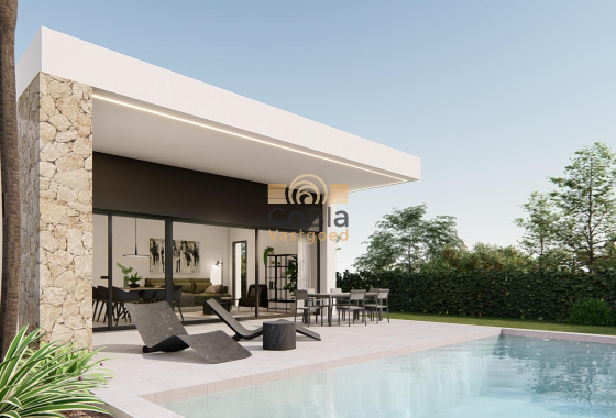 Villa - Neue Gebäude - Molina De Segura - NBR-24791