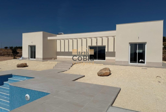 Villa - New Build - Pinoso - Camino Del Prado