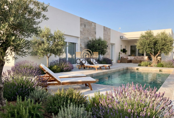 Villa - New Build - Pinoso - Casas Pastor