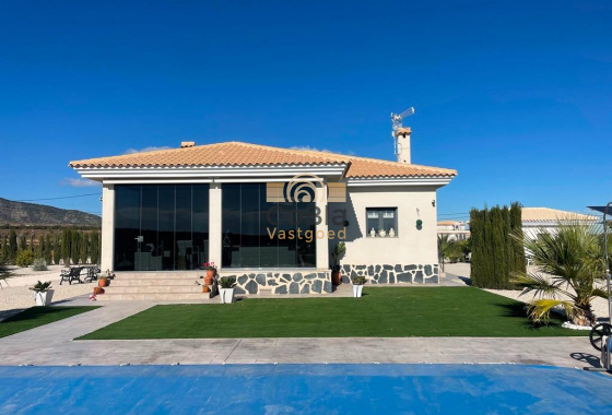 Villa - Nieuwbouw Woningen - Pinoso - NBR-72398