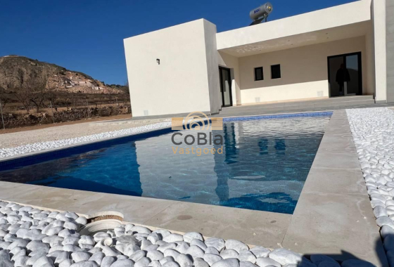 Villa - Nouvelle construction - Hondón de las Nieves - NBR-36400