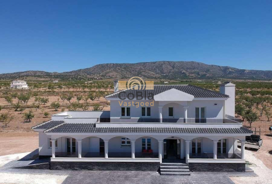 Villa - Nouvelle construction - Pinoso - NBR-60042