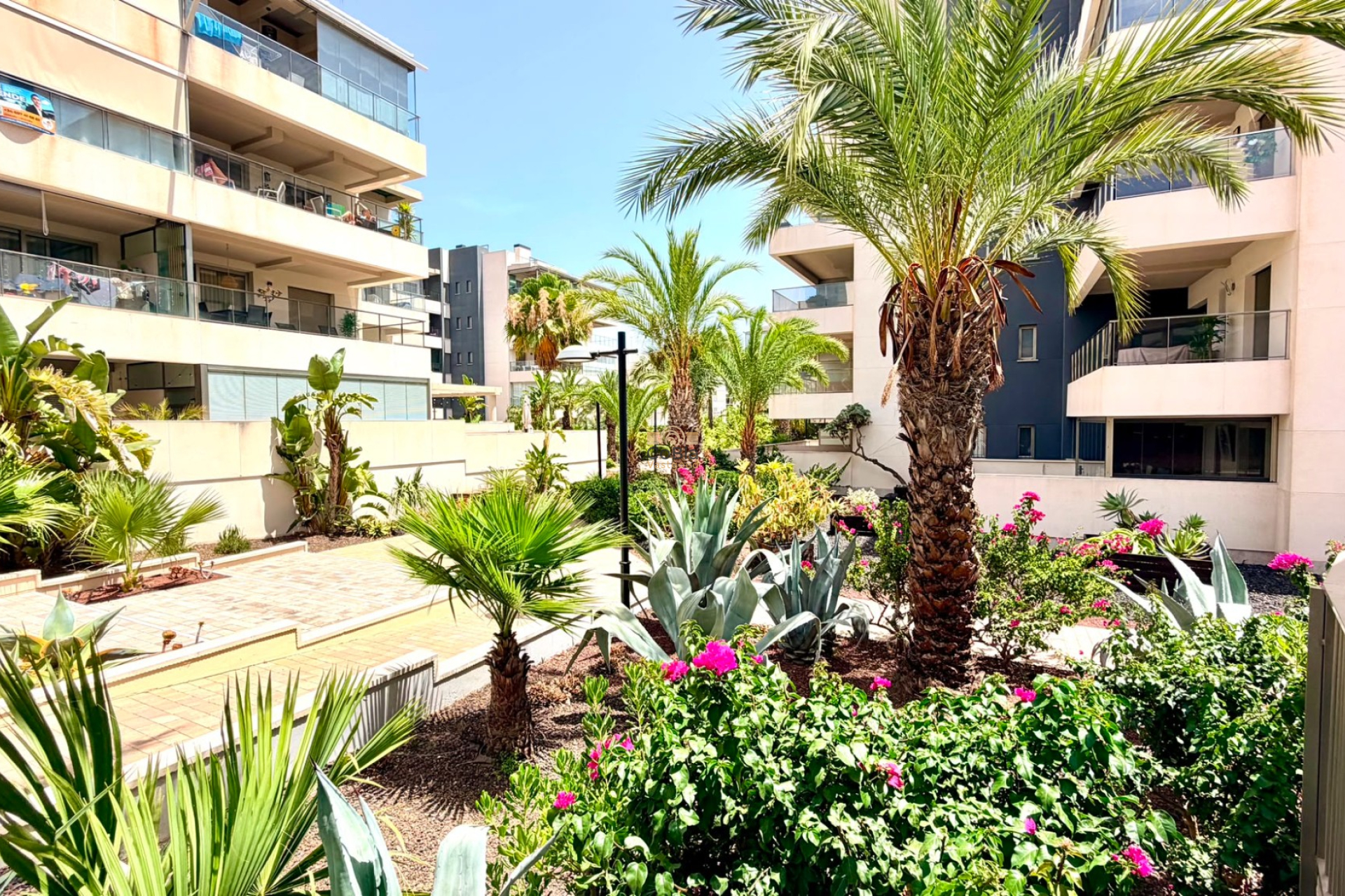 Wiederverkauf - Apartment - Orihuela Costa - La Zenia