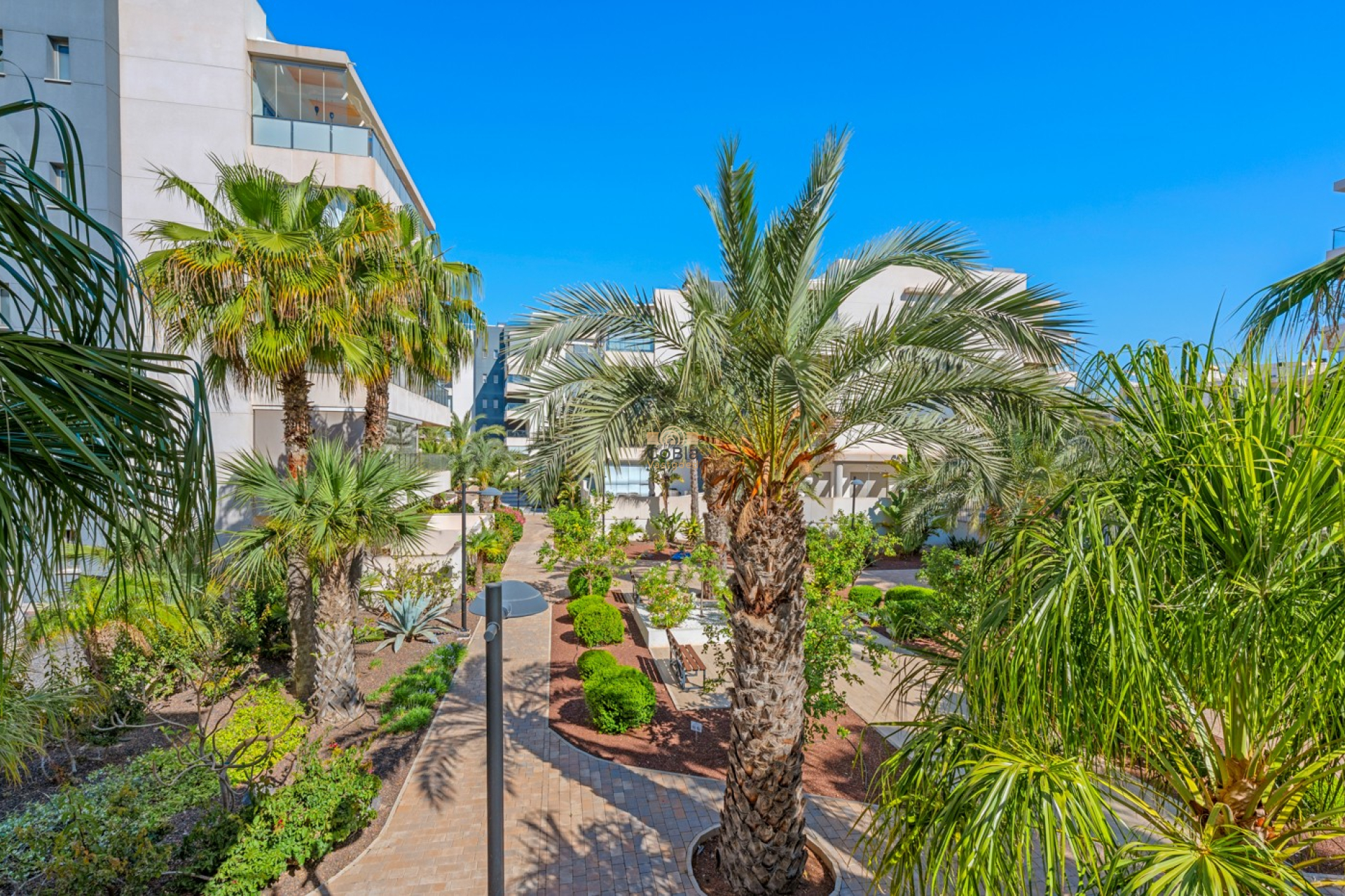 Wiederverkauf - Apartments - Orihuela Costa - Los Dolses