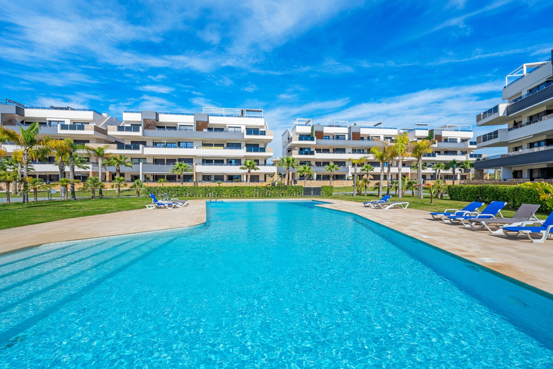 Wiederverkauf - Apartments - Orihuela Costa - Playa Flamenca