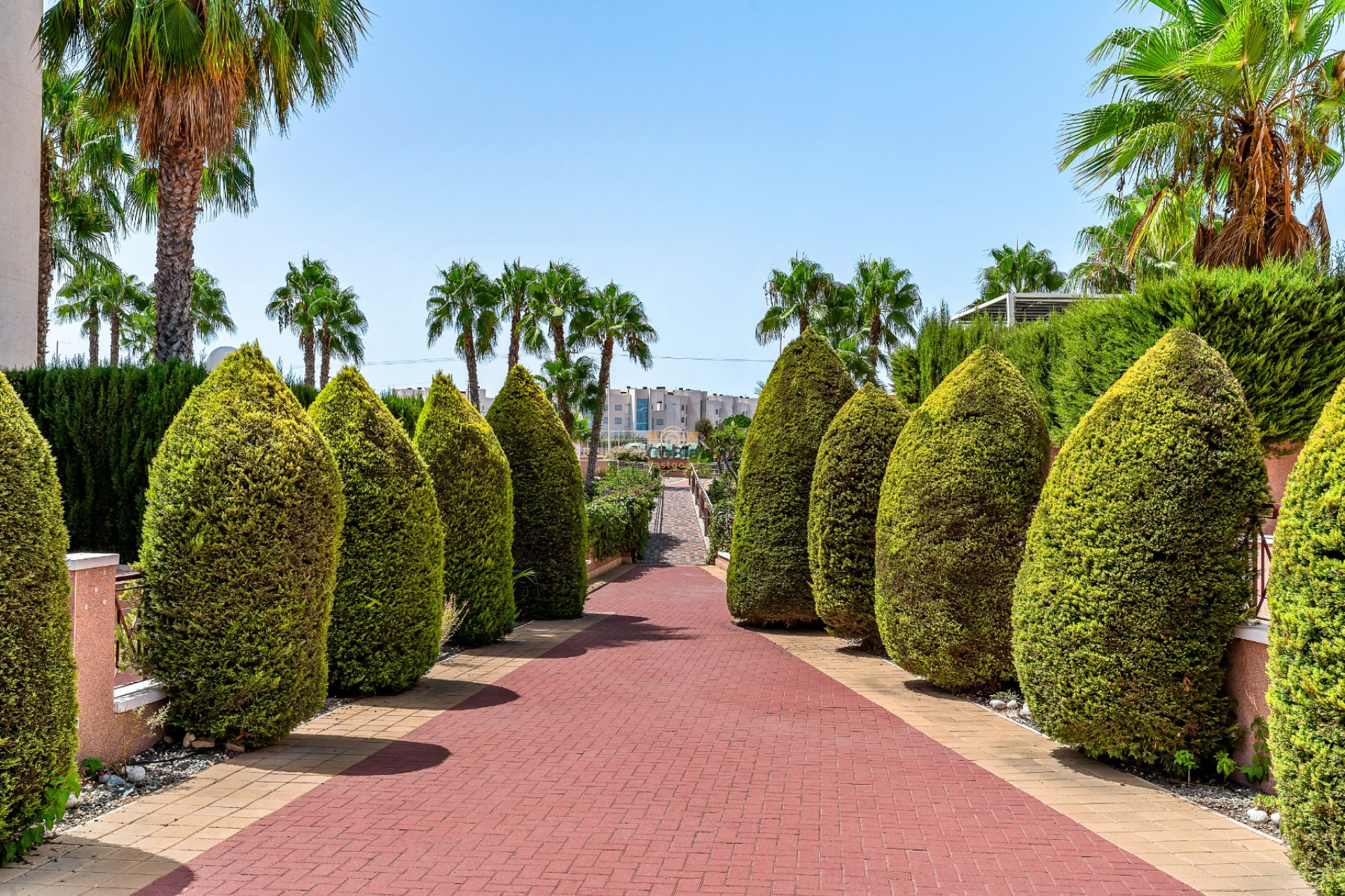 Wiederverkauf - Apartments - Orihuela Costa - Playa Flamenca