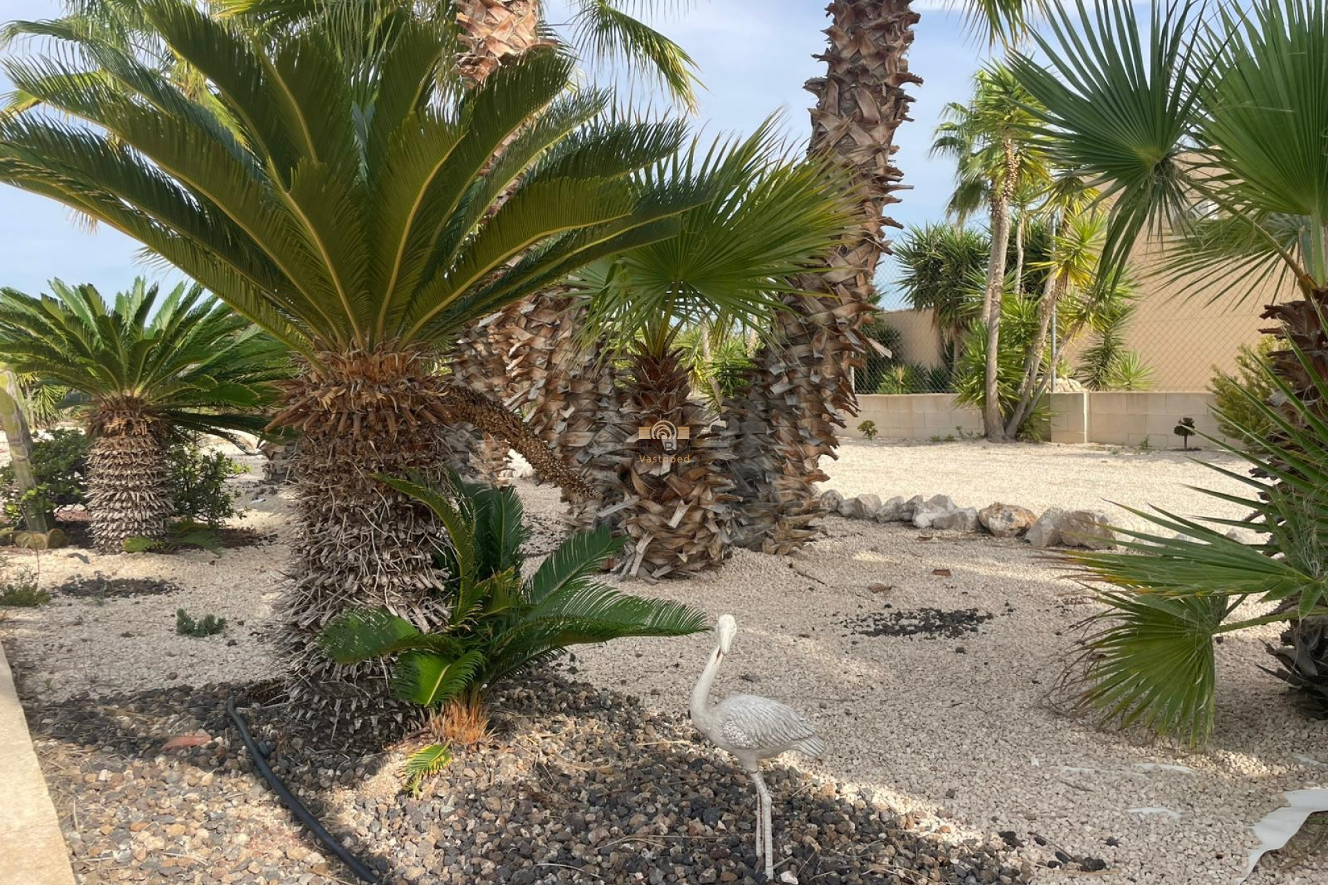 Wiederverkauf - Finca / Country Property - Abanilla